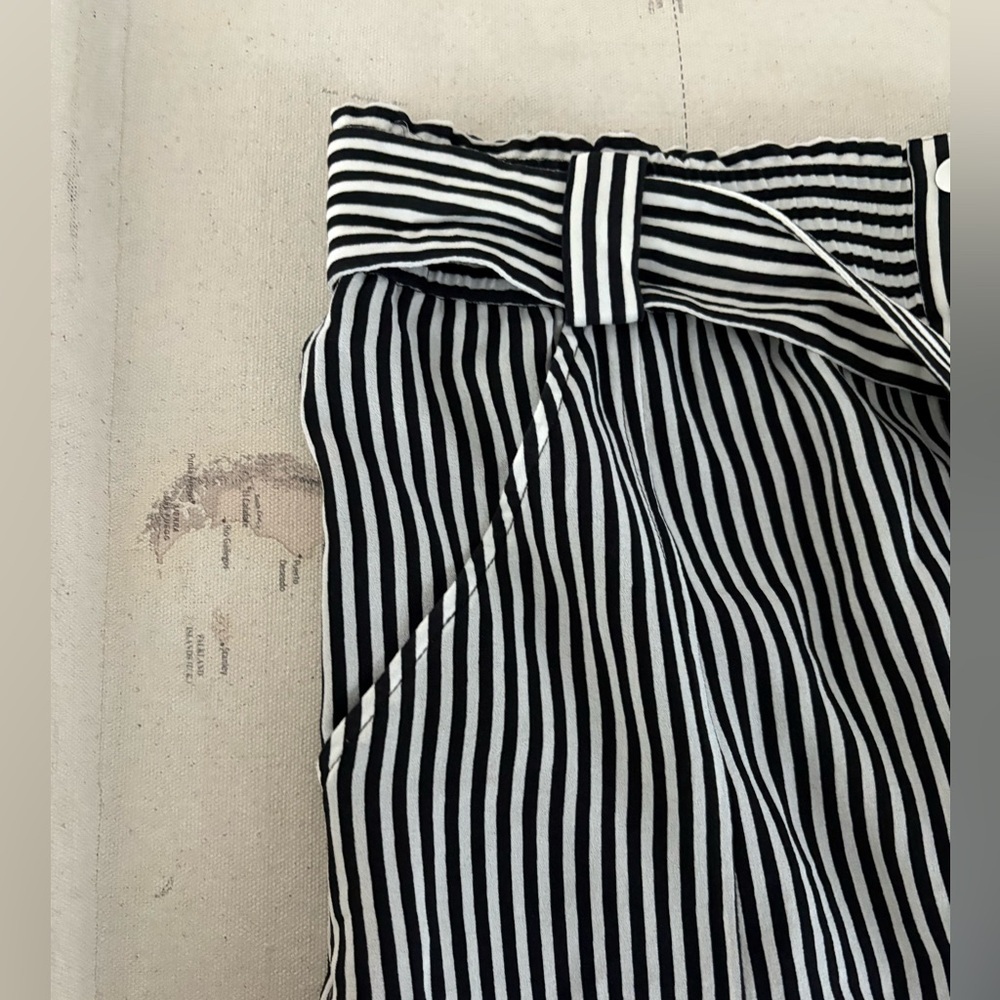 A.L.C. Silk Striped Button Down Skirt Size 8 - Picture 5 of 14